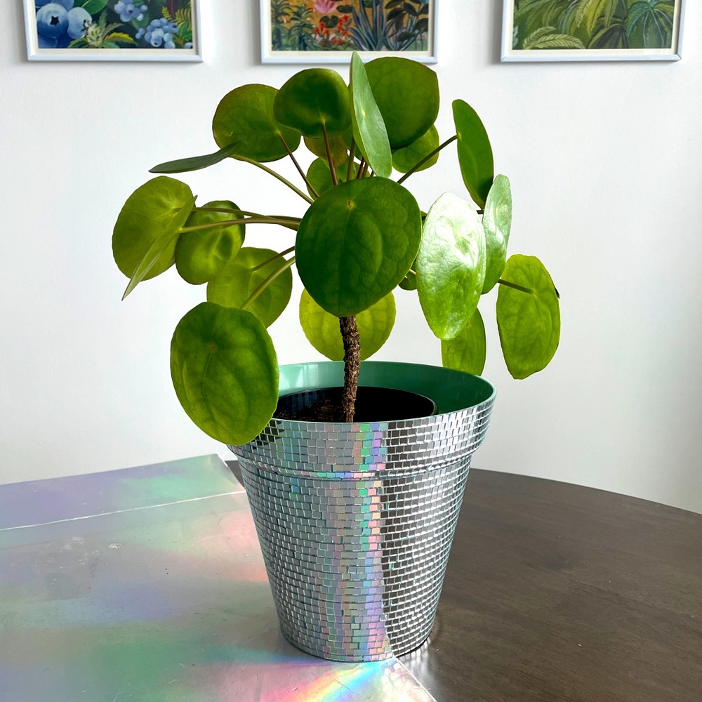 🪩Hand Made Mirror Disco Planter ✨🪩